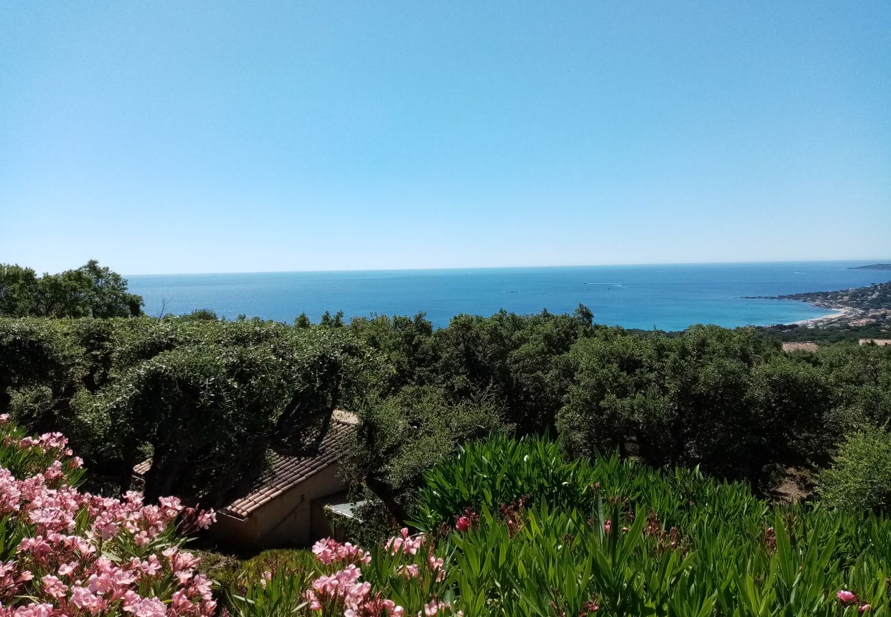 Villa à Sainte-Maxime - CEZANNE